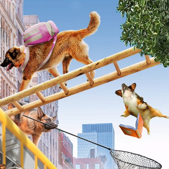 New sealed Ravensburger 150XXL Puzzle-Pet School Pals - Picture 5 of 16